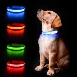 Waterproof Dog Collar Luminated